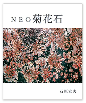 neo菊花石